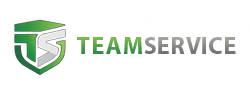 TeamService